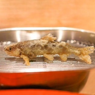 The photo of Fukamachi