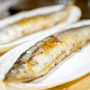 つくしのこの写真