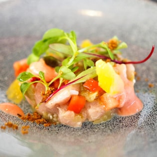 The photo of Felicelina