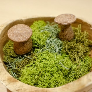 The photo of Gri-gri