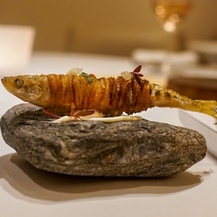 The photo of Prevenance