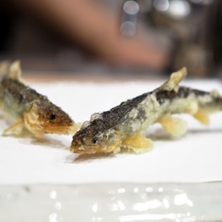 天ぷら 蕎楽亭の写真