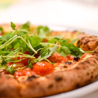 シシリヤの写真