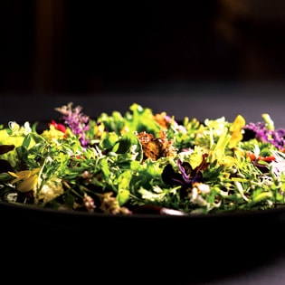 The photo of La Floraison de TAKEUCHI