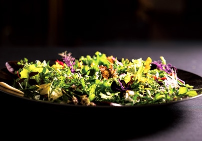 The photo of La Floraison de TAKEUCHI