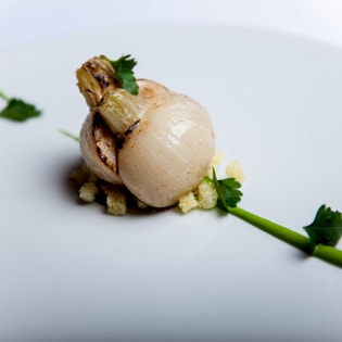 レフェルヴェソンスの写真