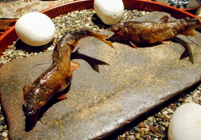 The first photo of RyuGin