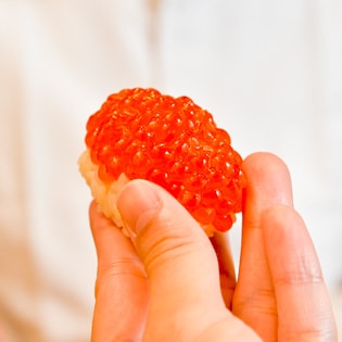 The photo of Hatsunezushi