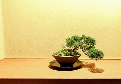 The second photo of Hashiguchi