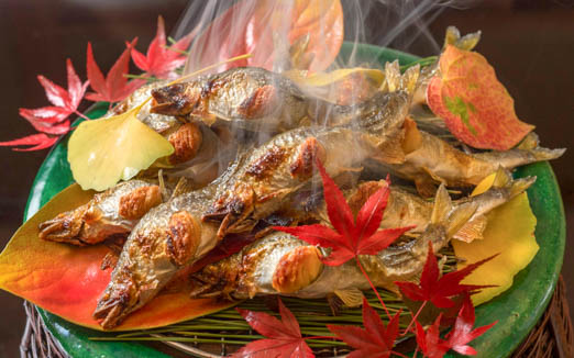 赤坂 菊乃井の写真