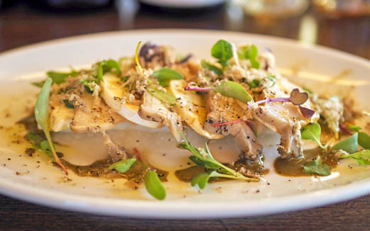 ICARO miyamotoの写真