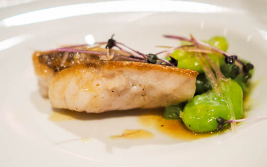 ジョンティ アッシュの写真