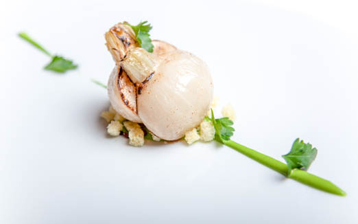 レフェルヴェソンスの写真