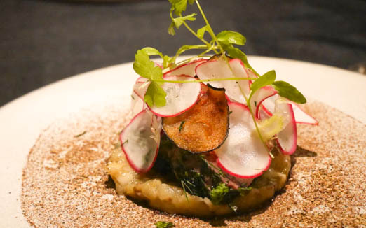 プレヴナンスの写真