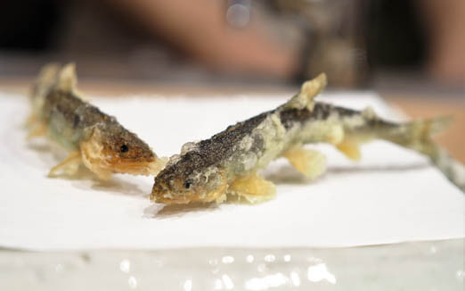 天ぷら 蕎楽亭の写真