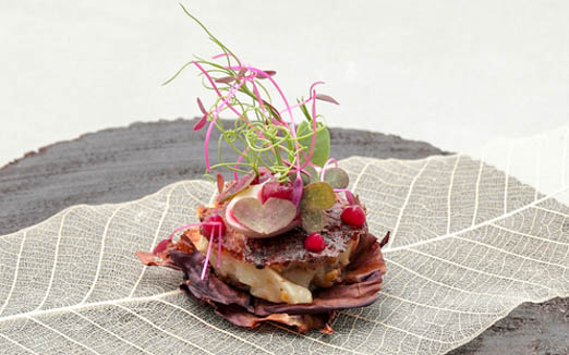 クラフタルの写真