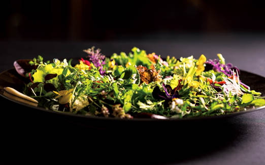 レストラン ラ・フロレゾン・ドゥ・タケウチの写真