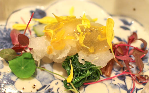 北新地 弧柳の写真