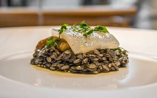 トムクリオーザの写真