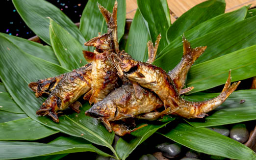 割烹 美加登家の写真