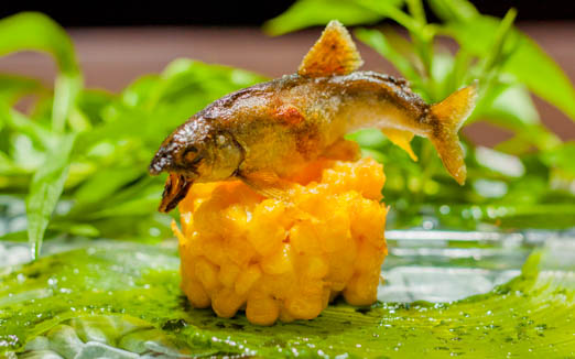 日本料理 TOBIUMEの写真