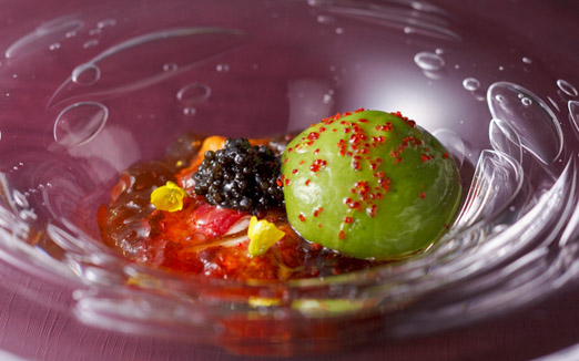 マダム・トキの写真