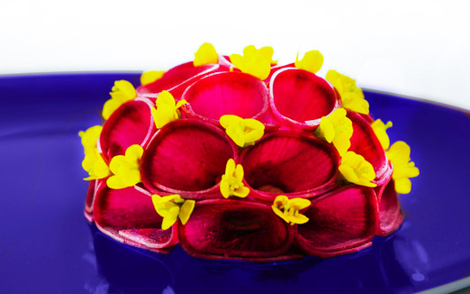 ラール・エ・ラ・マニエールの写真