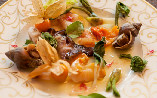 コントワール ミサゴの写真