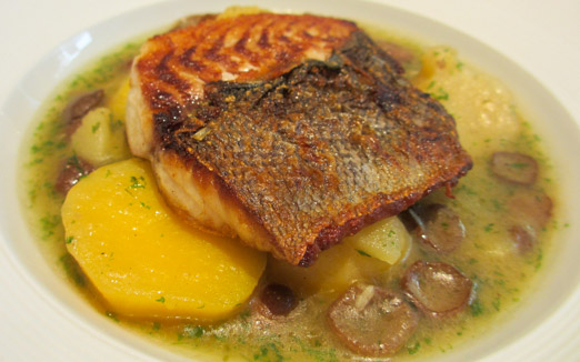 シャントレルの写真