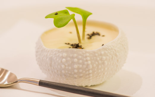 restaurant l'Alchimisteの写真