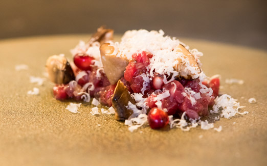 ドンブラボーの写真