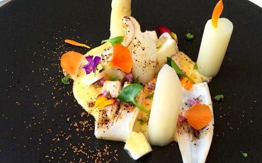 プレヴナンスの写真