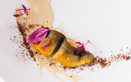 ポンテ デル ピアットの写真