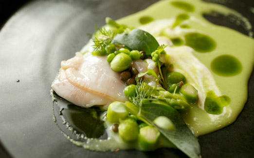 セルサルサーレの写真