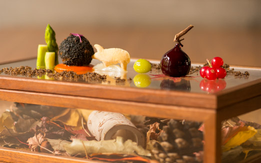 セララバアドの写真