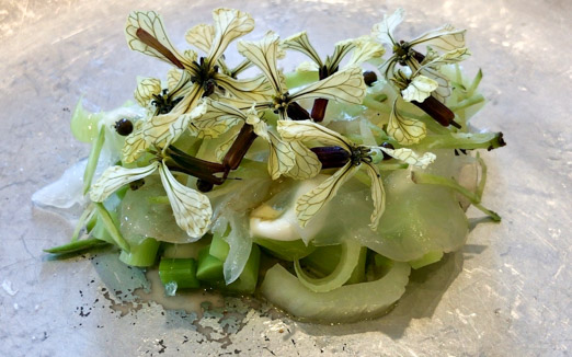 ヴィラ・アイーダの写真