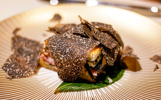 スガラボヴィーの写真