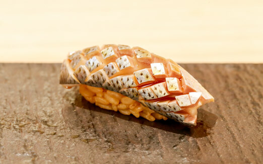 Takumi Shingoの写真