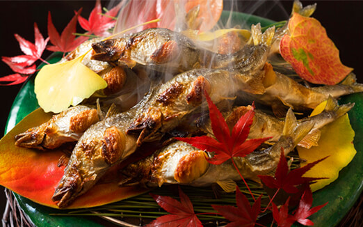 菊乃井 本店の写真