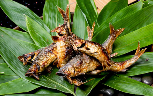 割烹 美加登家の写真