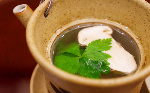 赤坂 詠月の写真