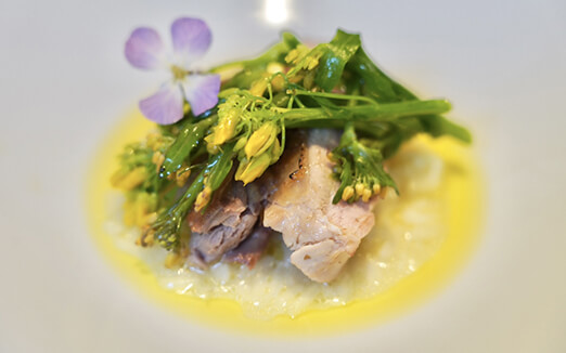 センティウの写真