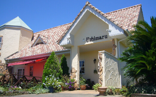 ウシマルの写真1