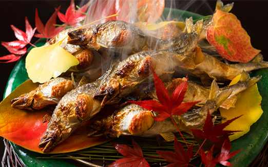 Kikunoi Hontenの写真