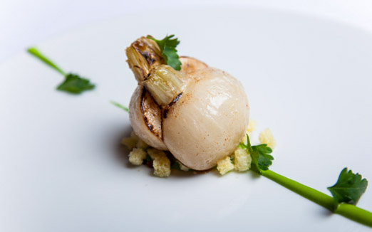 レフェルヴェソンスの写真2