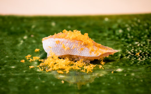 Sushisho Saitoの写真