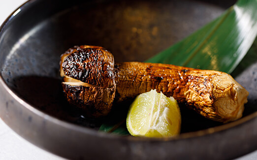 Yanagiyanishikiの写真