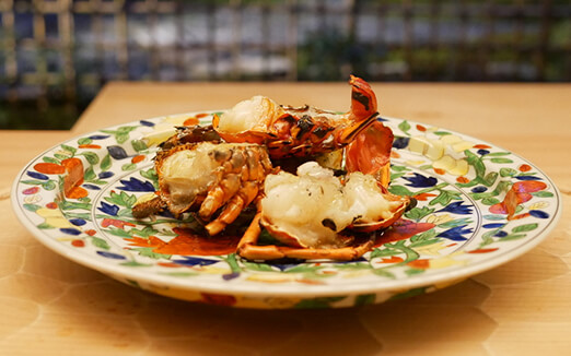 東山 緒方の写真