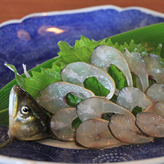 飛騨季節料理 肴