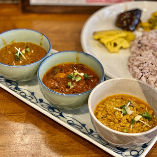初台スパイス食堂 和魂印才たんどーる